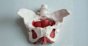 Read more about the article Pelvic Organ Prolapse: What It Is and How Physiotherapy Can Help You Feel Strong and Supported Again